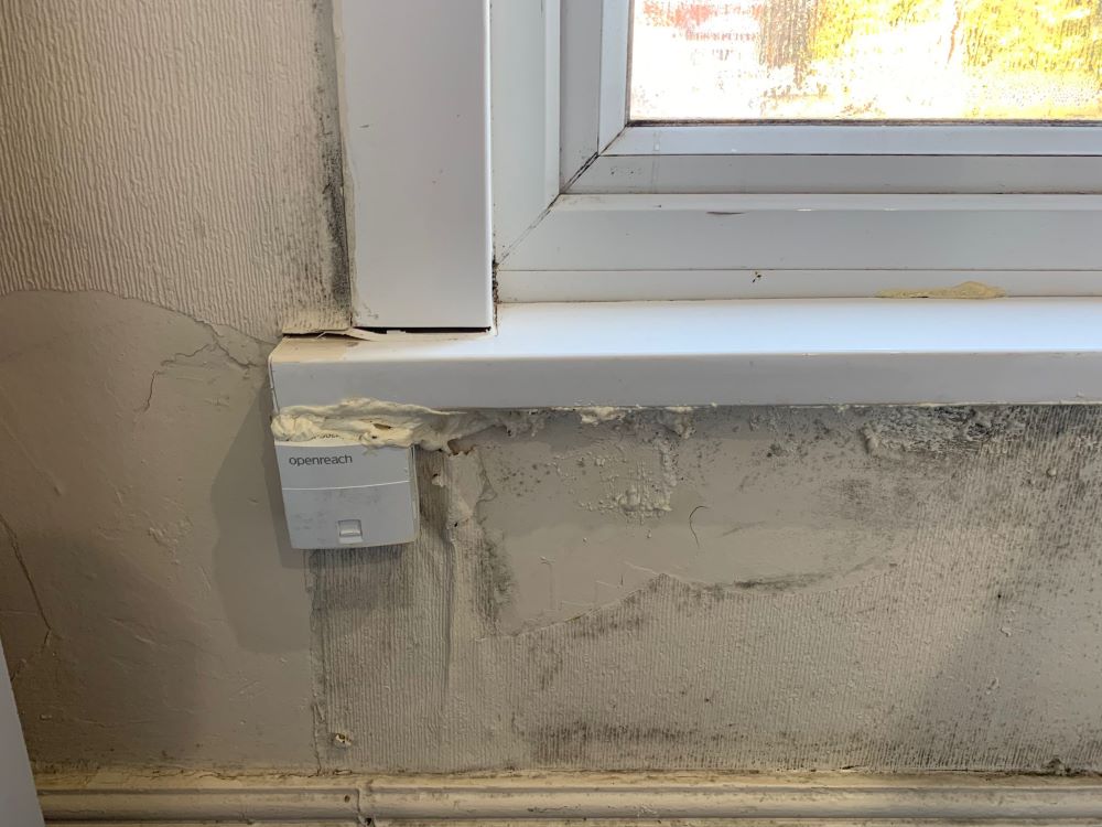 Mould pictured in the flat